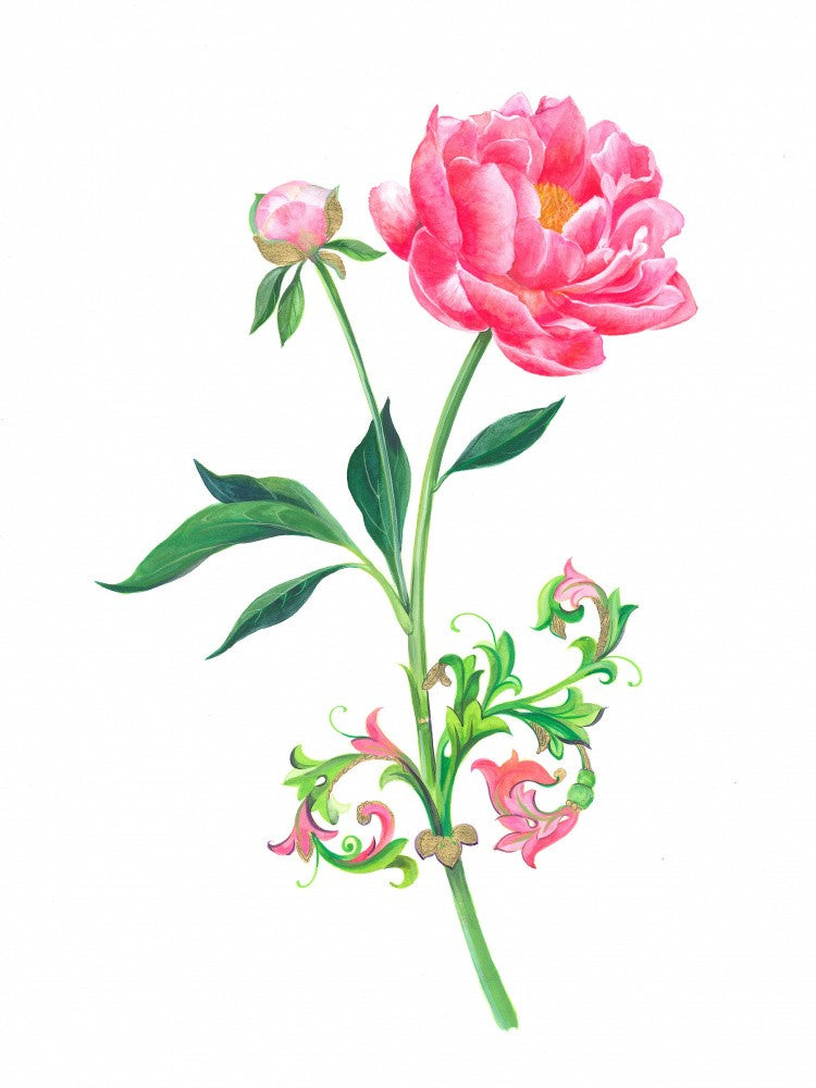 Pink Peony Flower