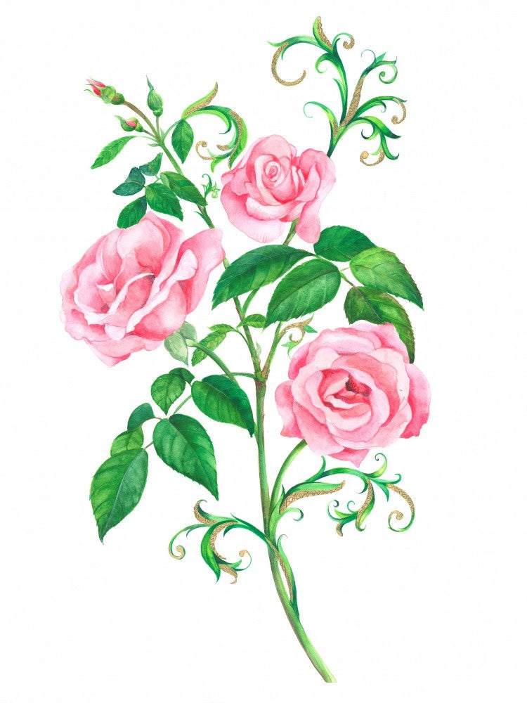 Beauty Of Blooming Roses