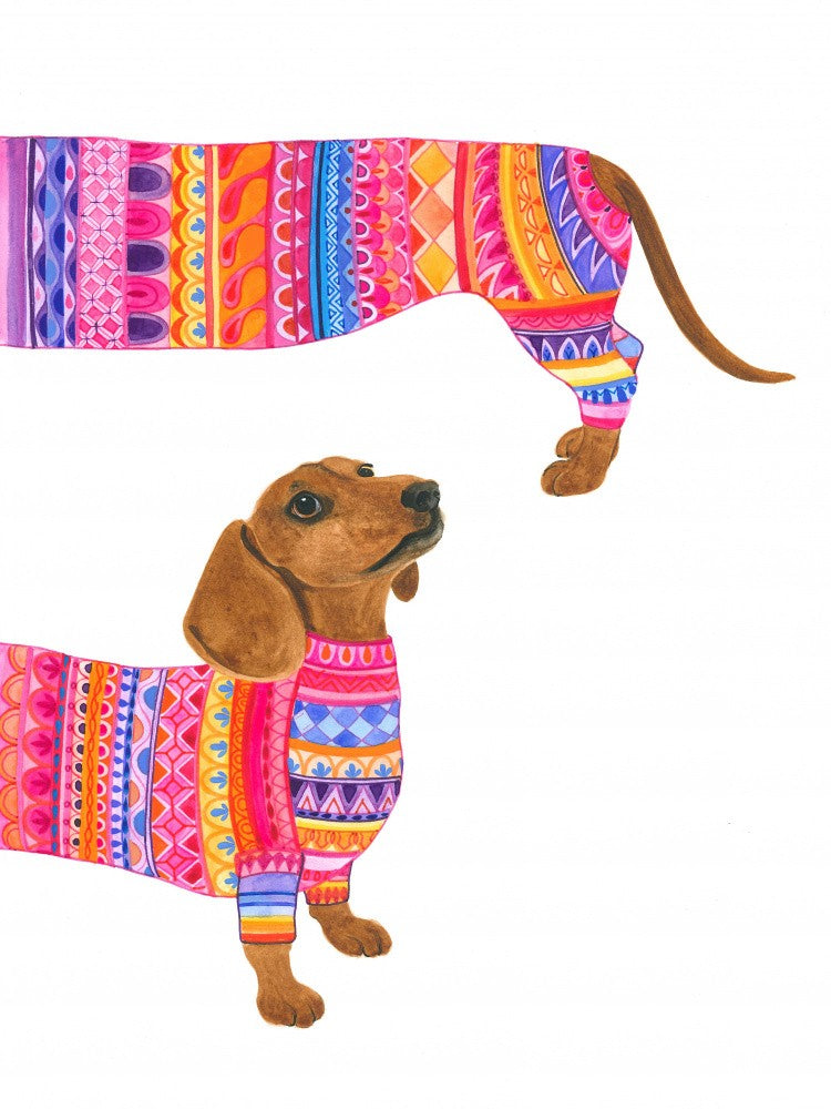 A Fashionable Dog