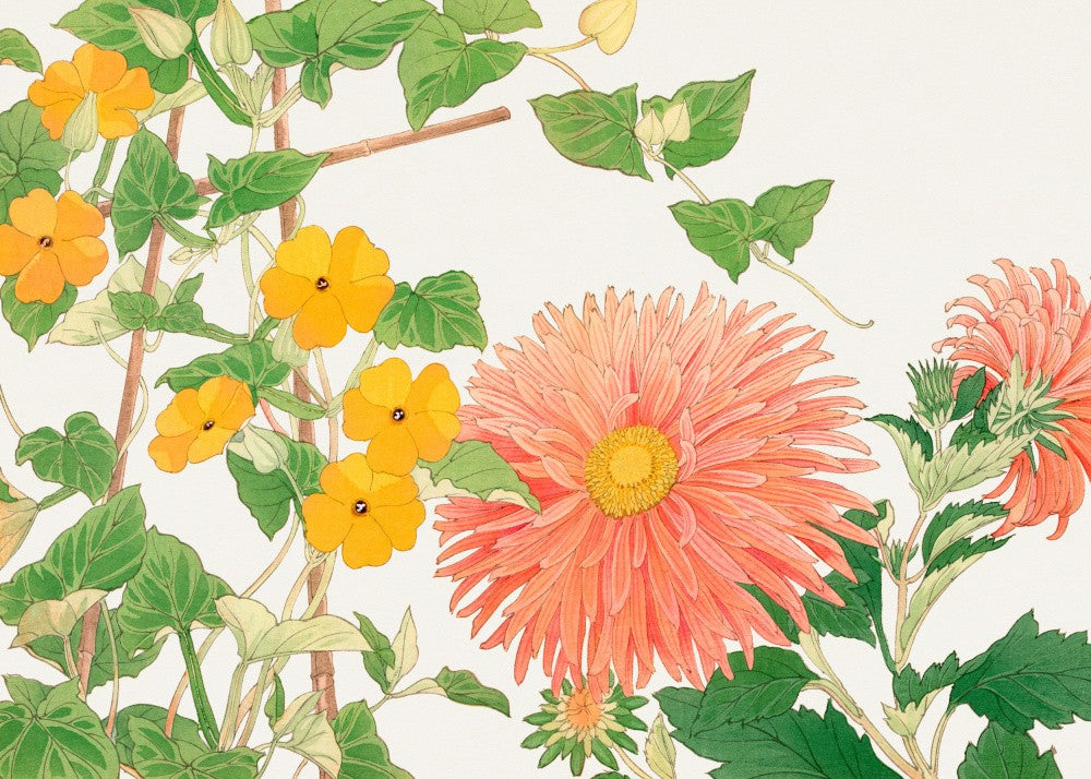 Thunbergia & Aster Flower No2