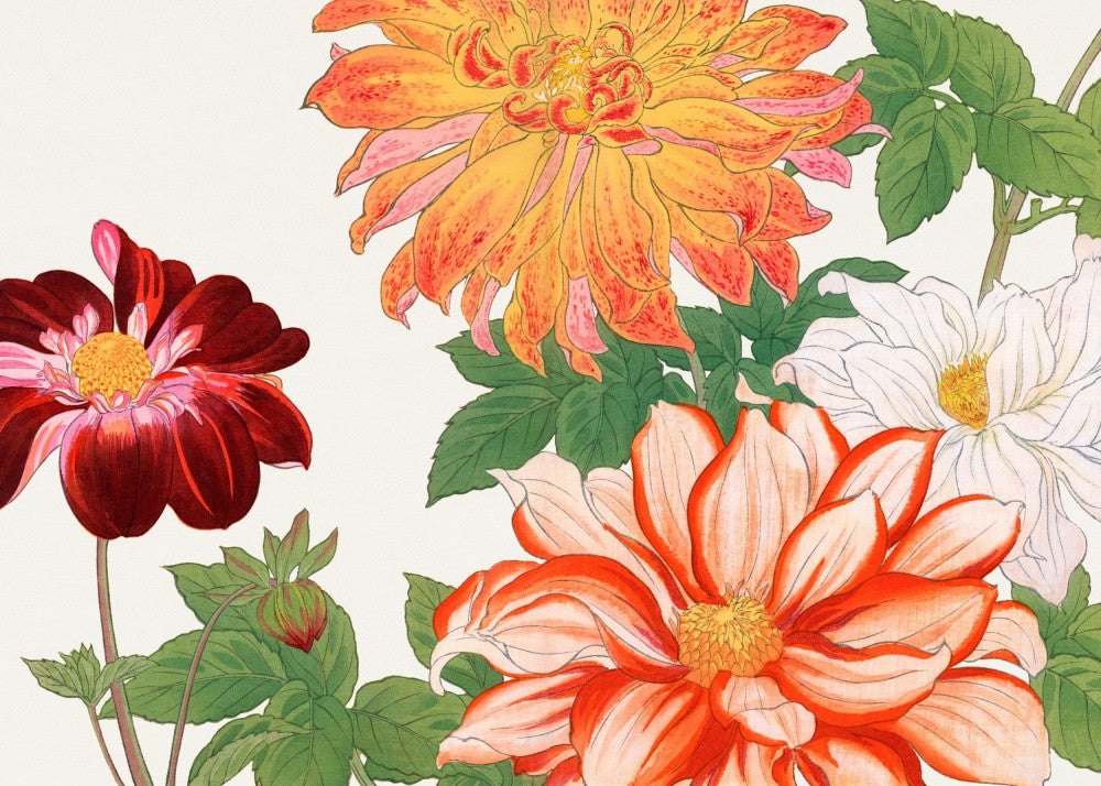 Dahlia Flower No.2