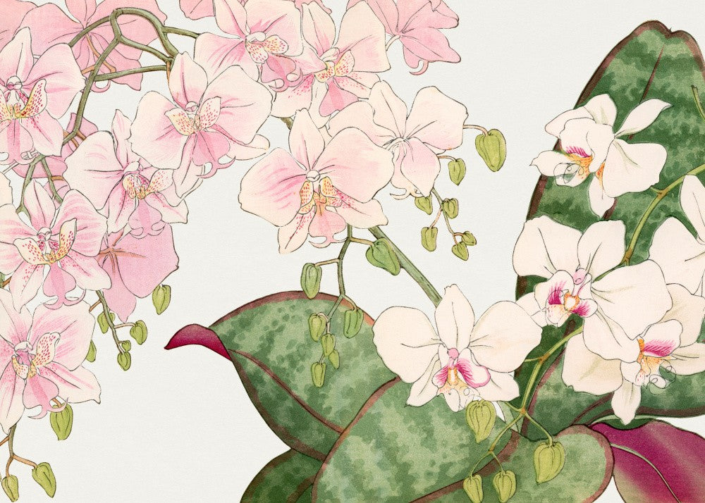 Vintage Orchid Flower No.2