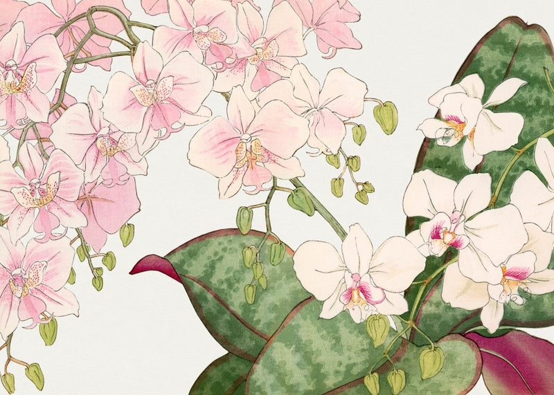 Vintage Orchid Flower No.2