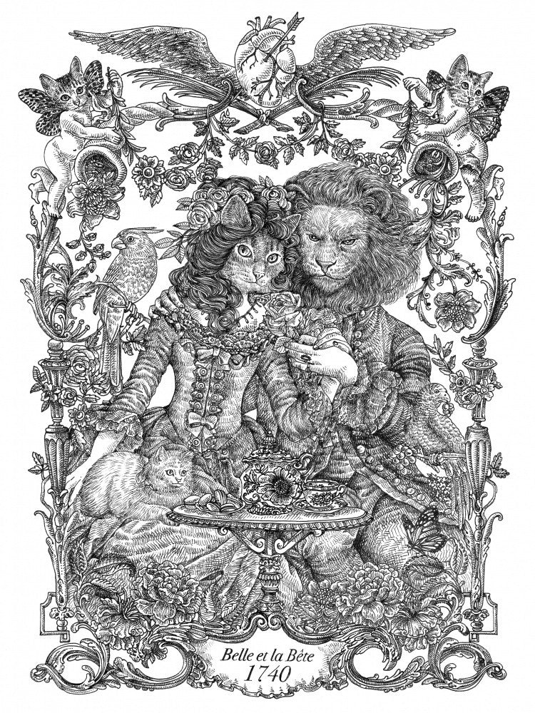Cat Beauty &amp; Beast