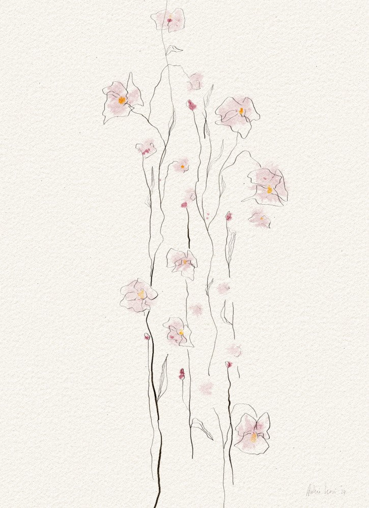 Delicate Orchid Blooms
