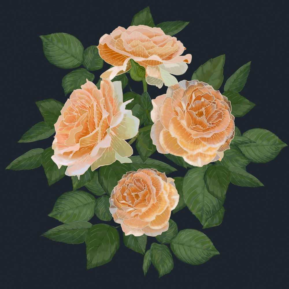 Bunch of Roses