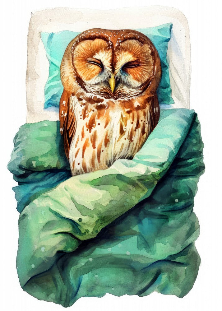 Animal Watercolor Art Bird Sleeping Owl