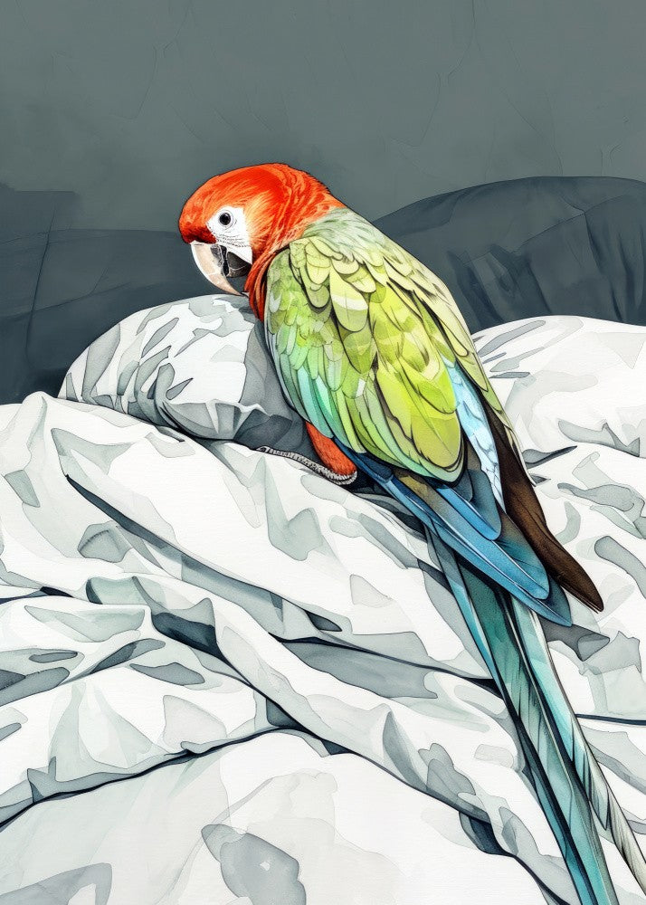 Animal Watercolor Art Bird Sleeping Parrot