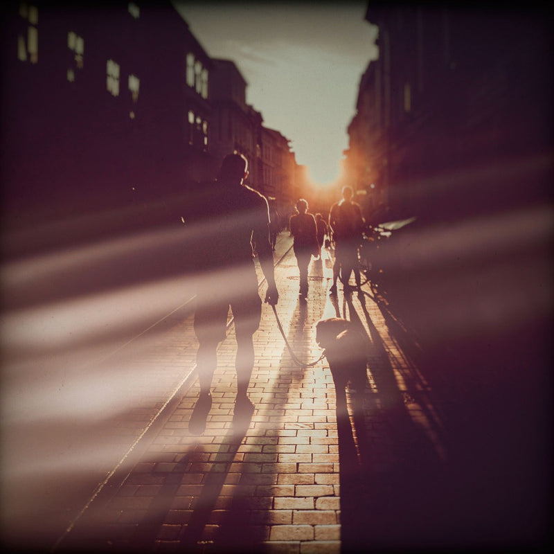 Street Photography Krakow Florianska Street