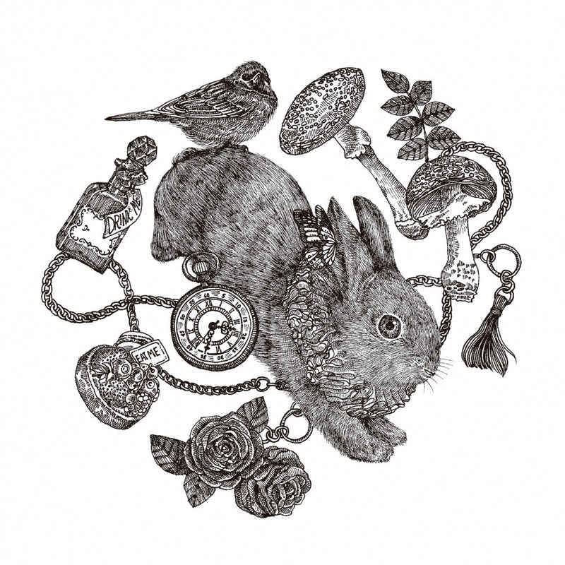 White Rabbit 2