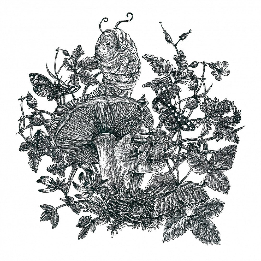 Raupe