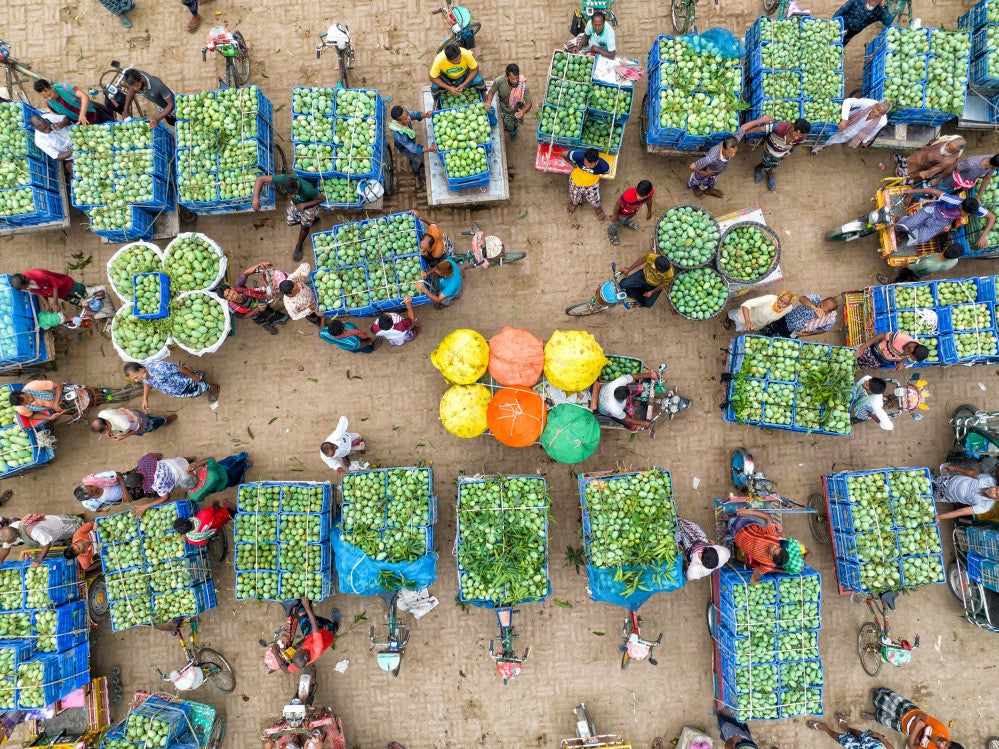 Largest mango market in Bangladesh