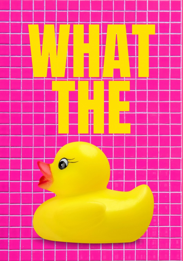 Duck Surprise