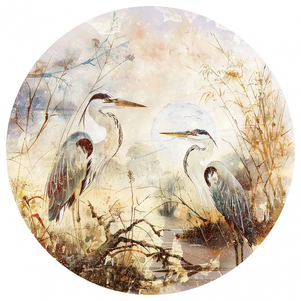 Bird Birds Animal Vintage Art Illustration Wallart 14