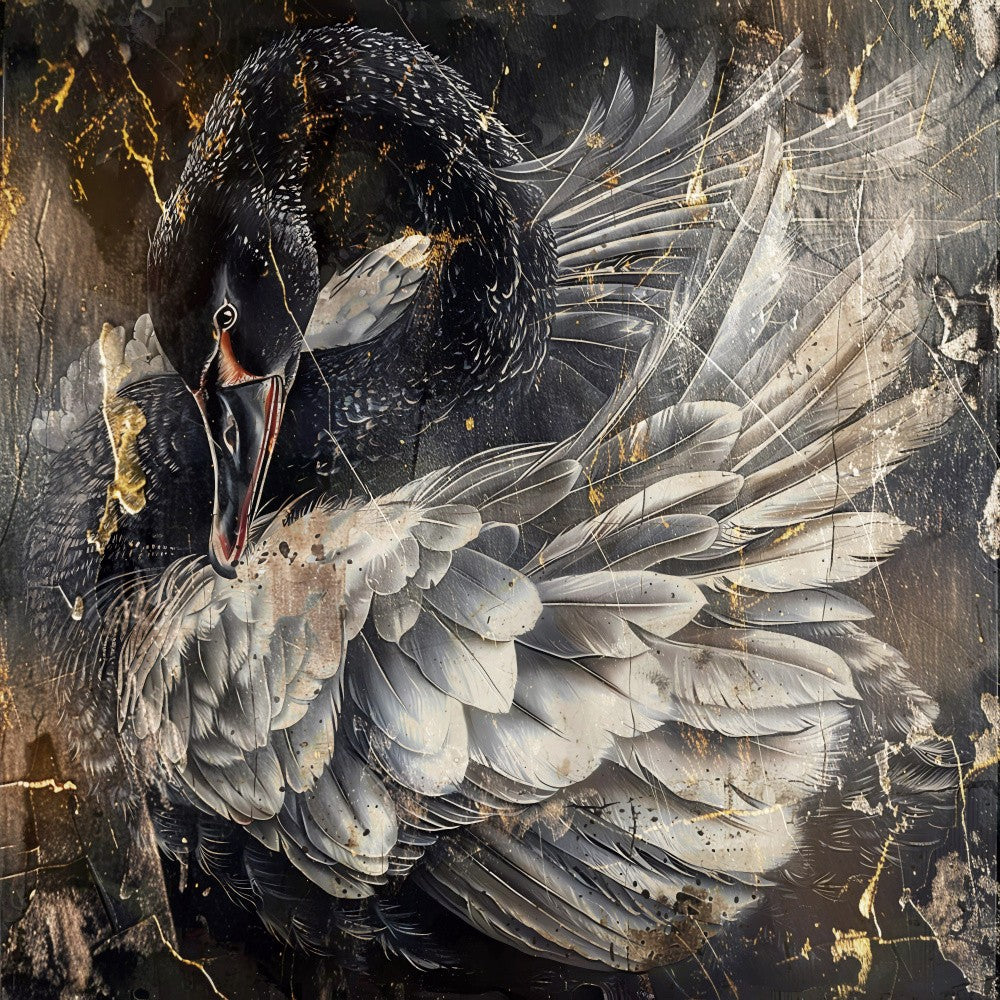 Swan Black Animal Vintage Art Illustration Wallart 1