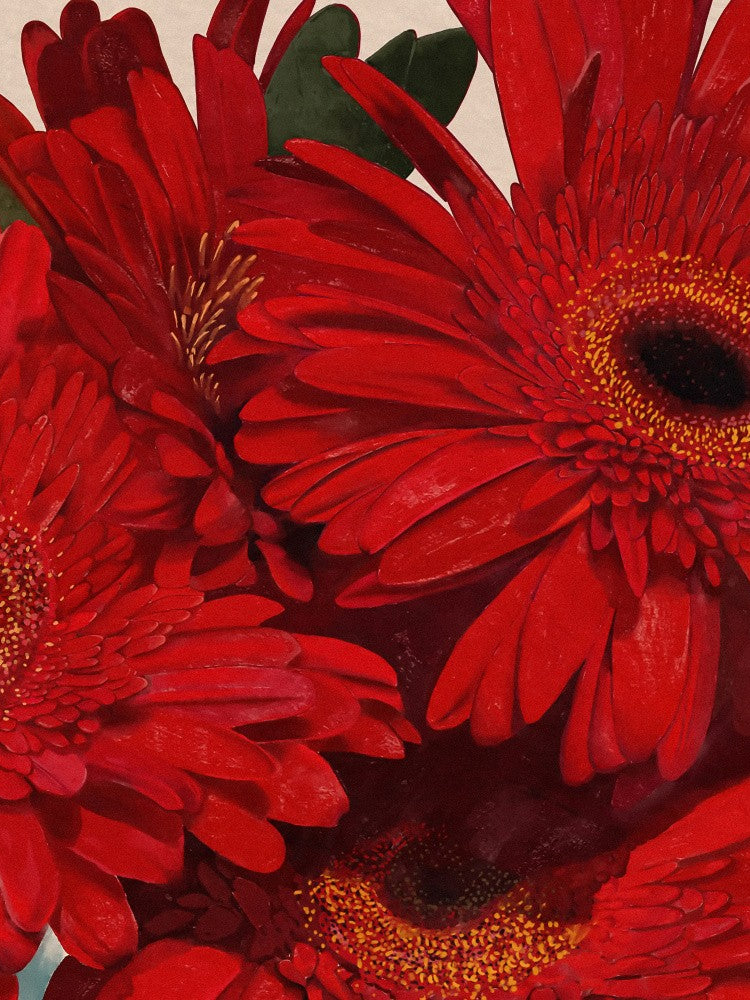 Red Gerbera Daisy Detail