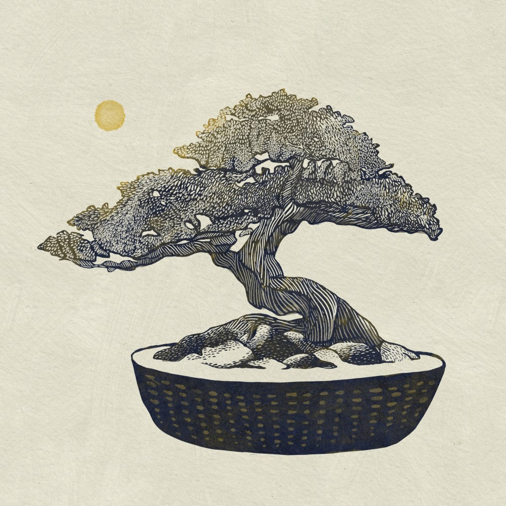 Bonsai Tree