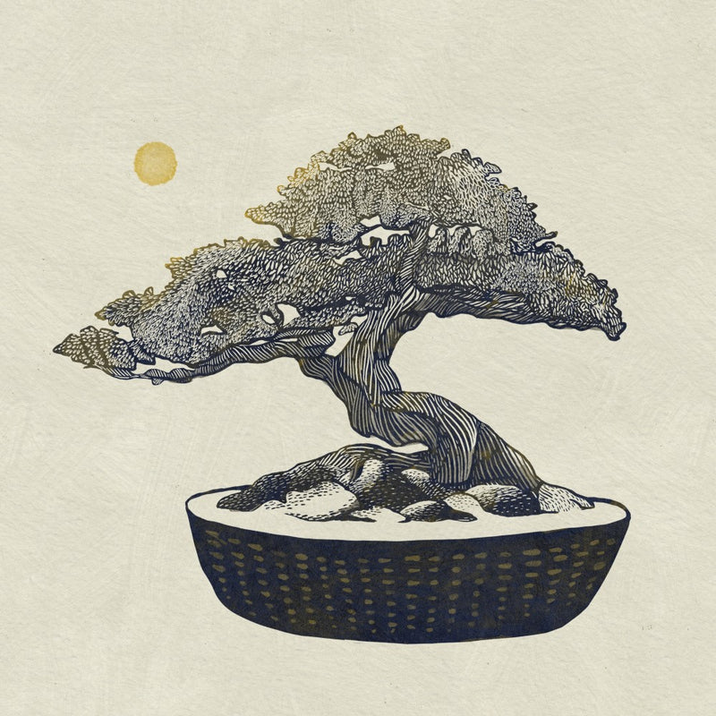 Bonsai Tree