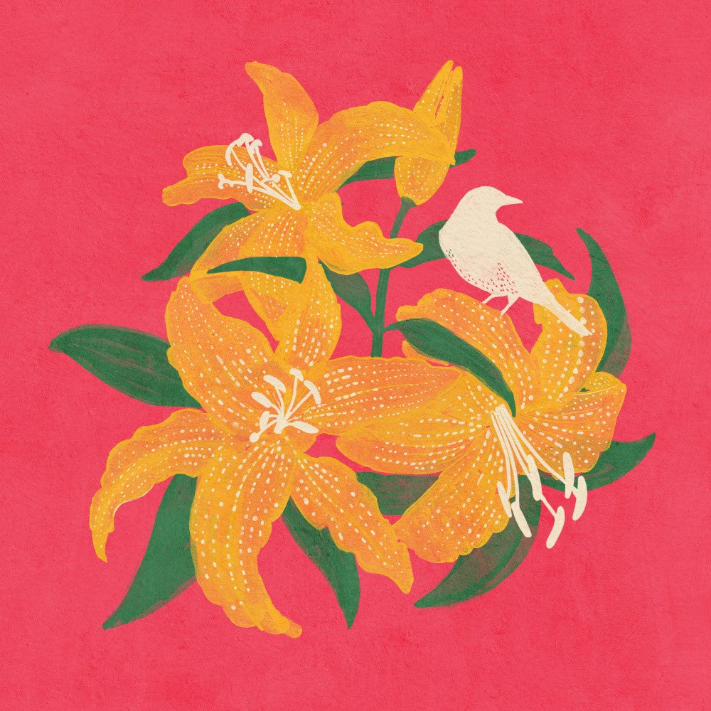 Bird and Lilly