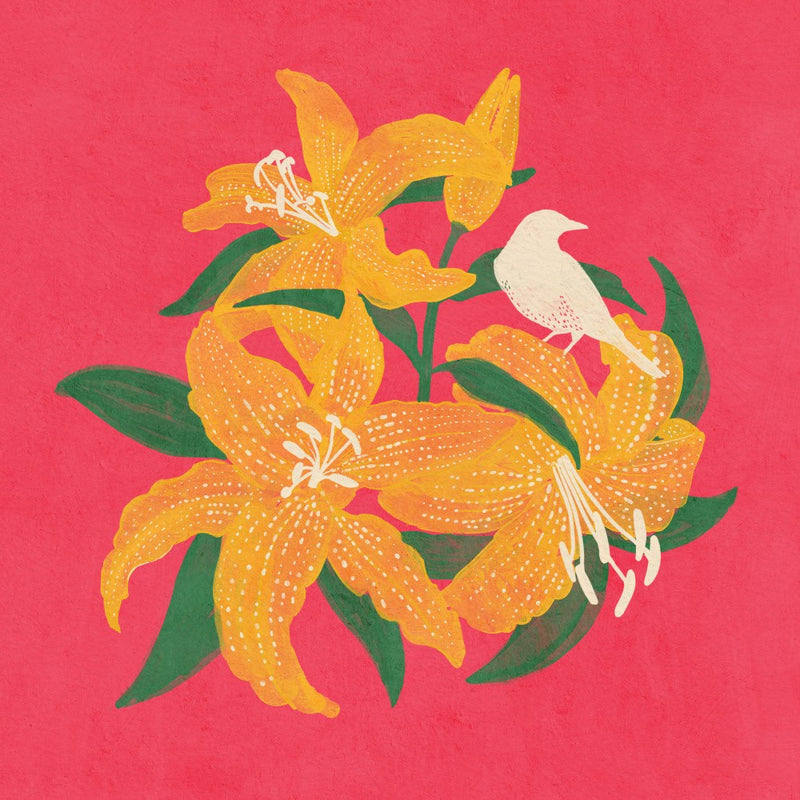 Bird and Lilly