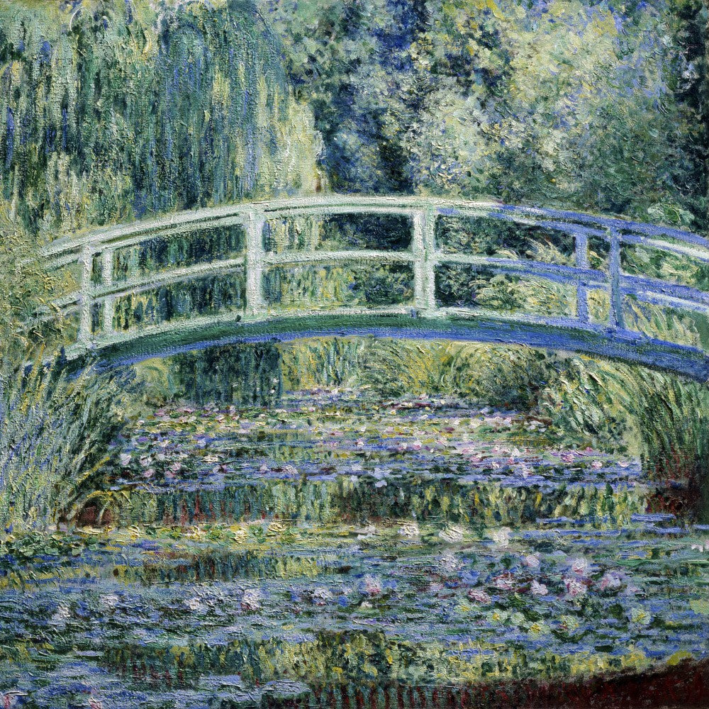 Water Lily Pond