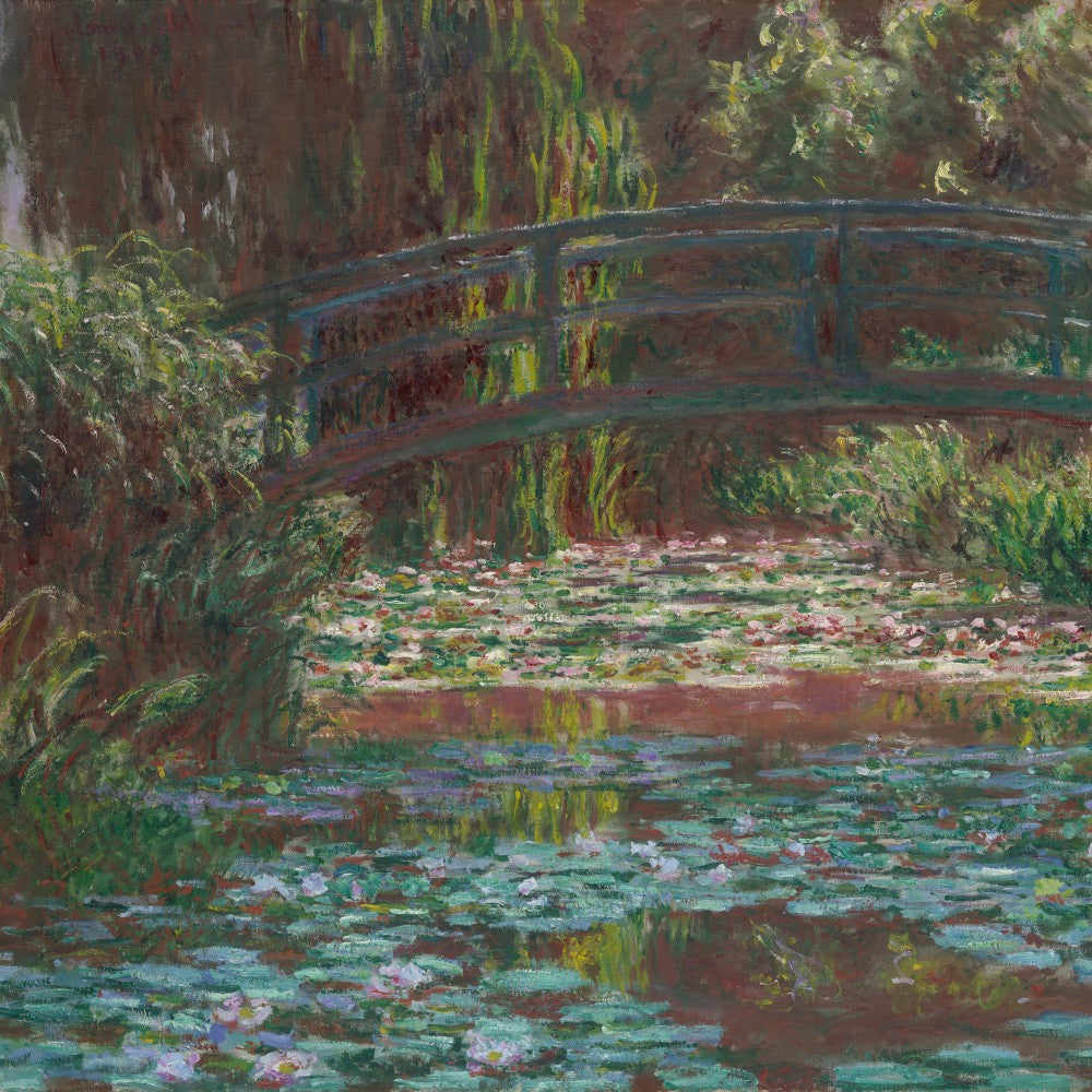 Water Lily Pond