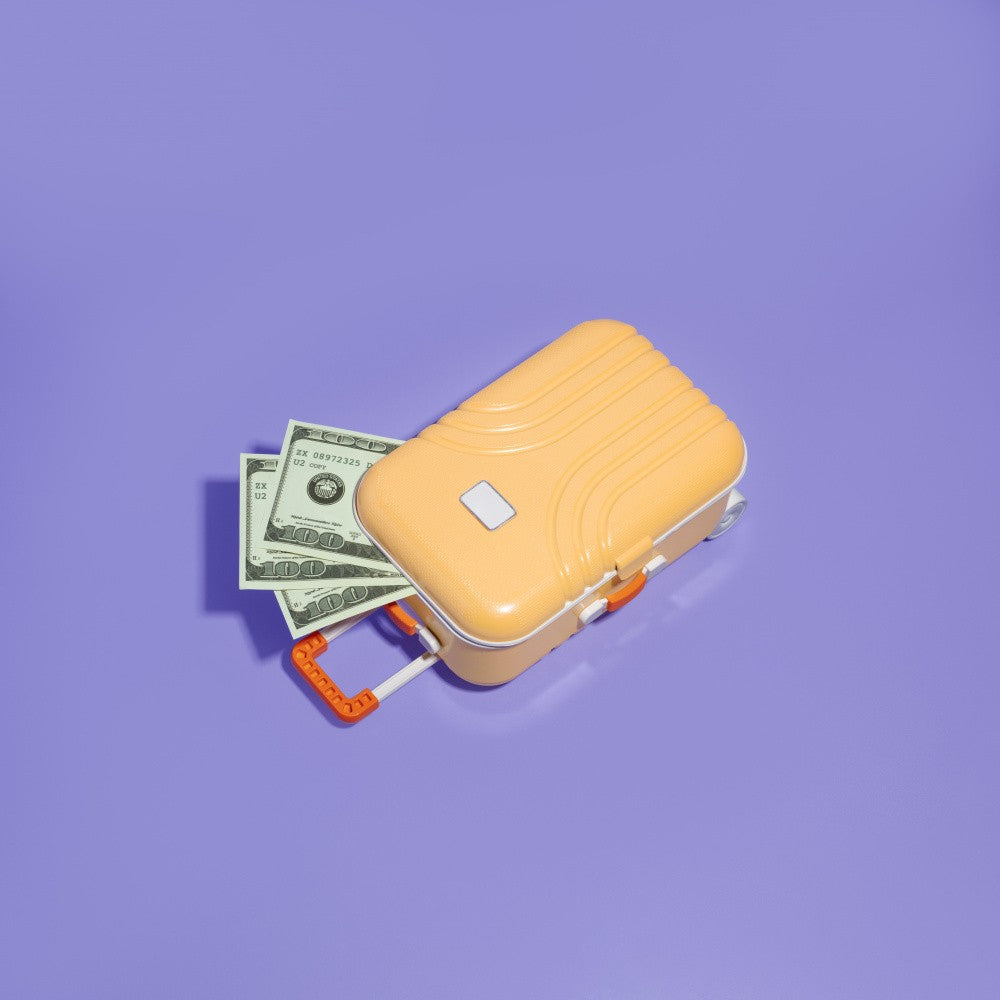 Suitcase with Cash