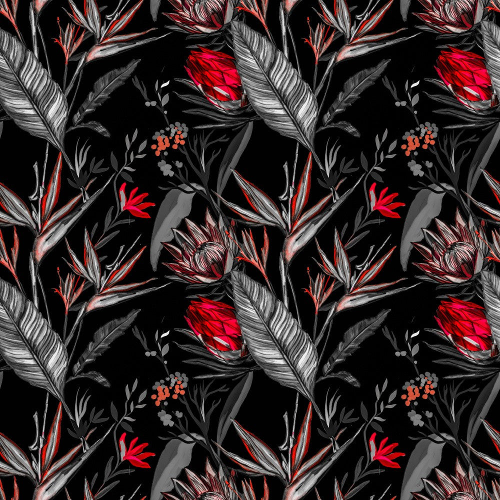 Painted proteas
