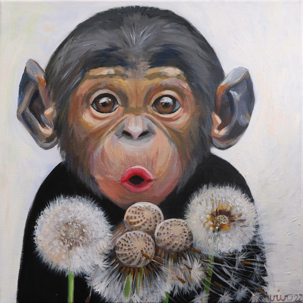 Surprised Monkey