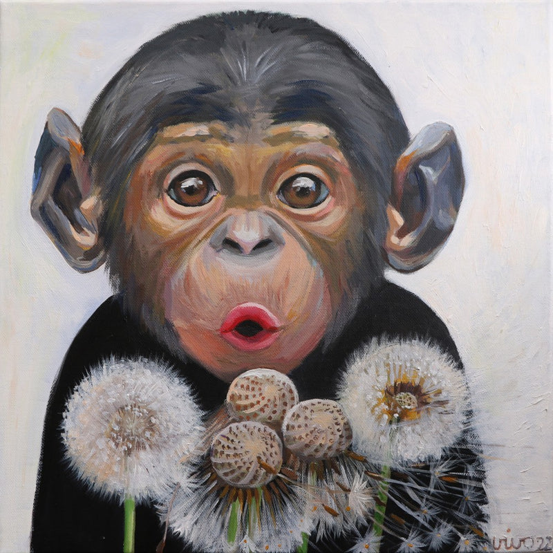 Surprised Monkey