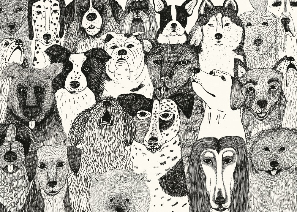 Hunde