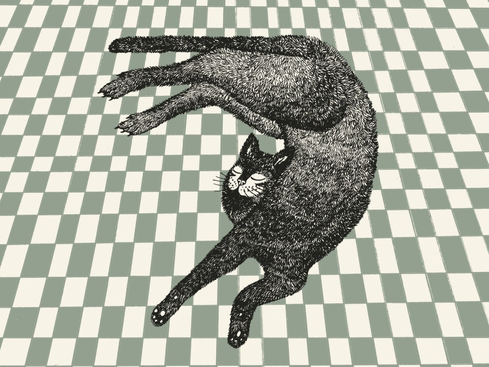 Sleeping Cat III