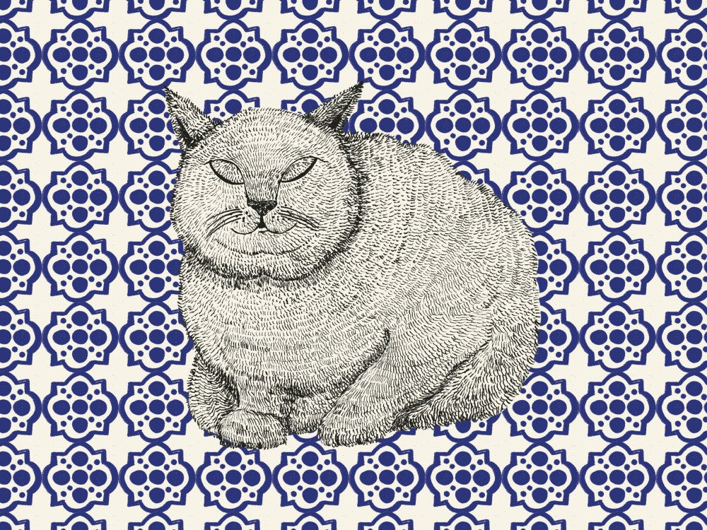 Sleeping Cat IV