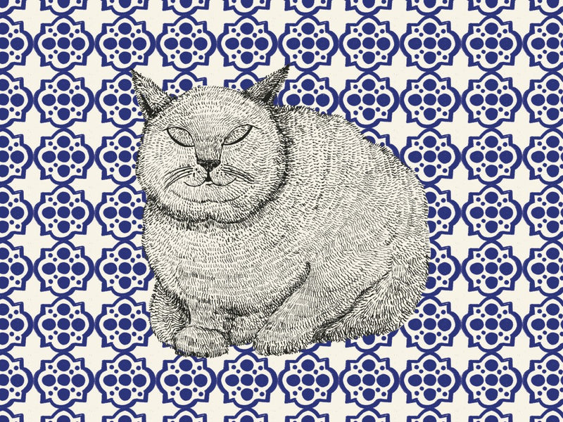 Sleeping Cat IV