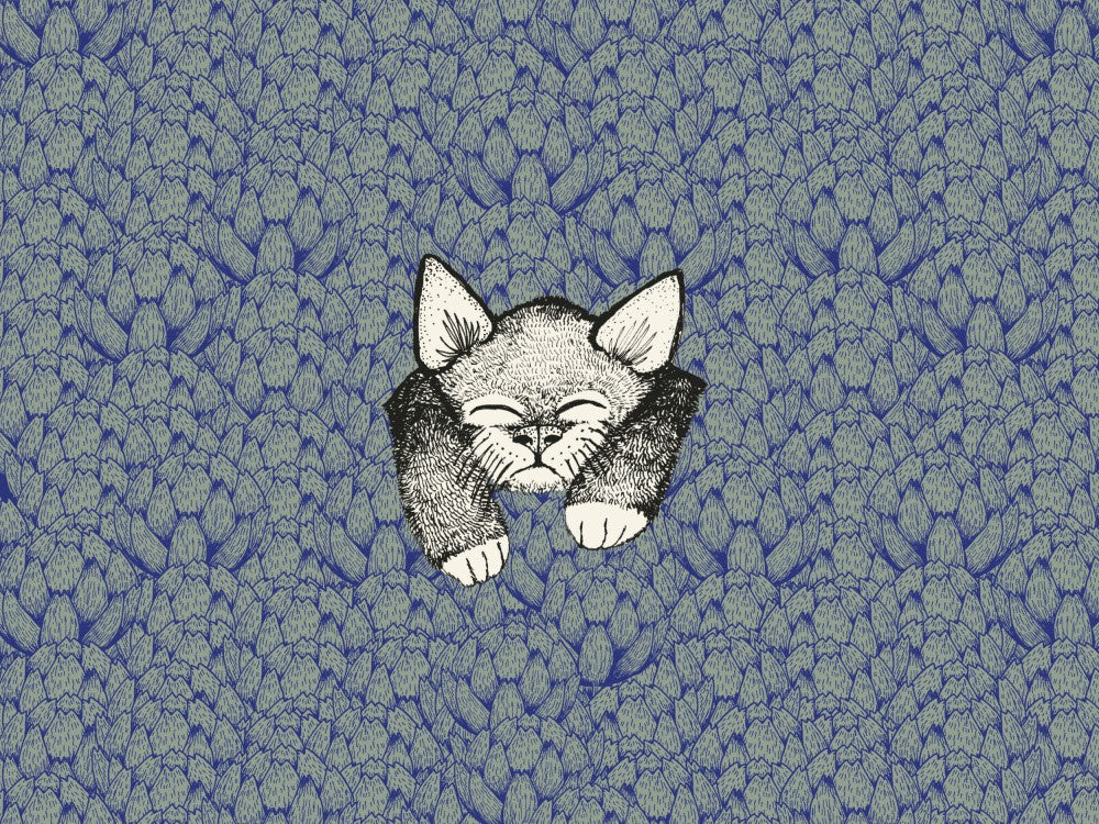 Kitty
