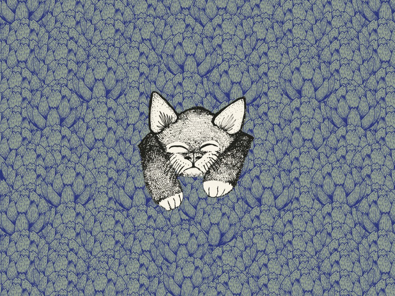Kitty