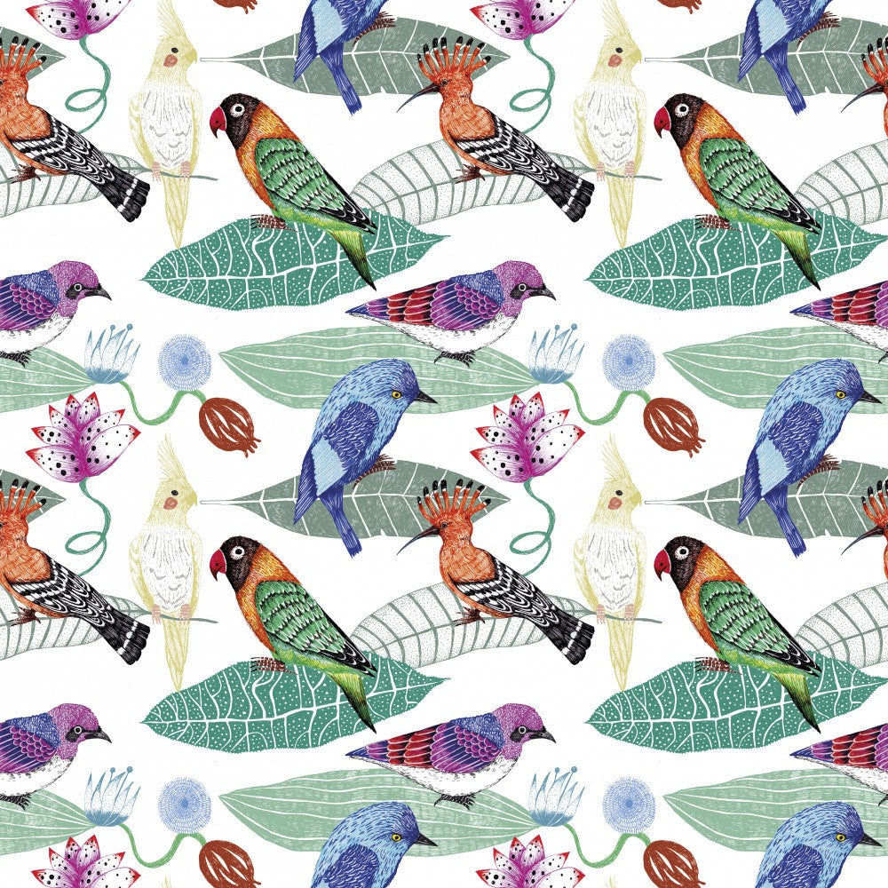 Birds