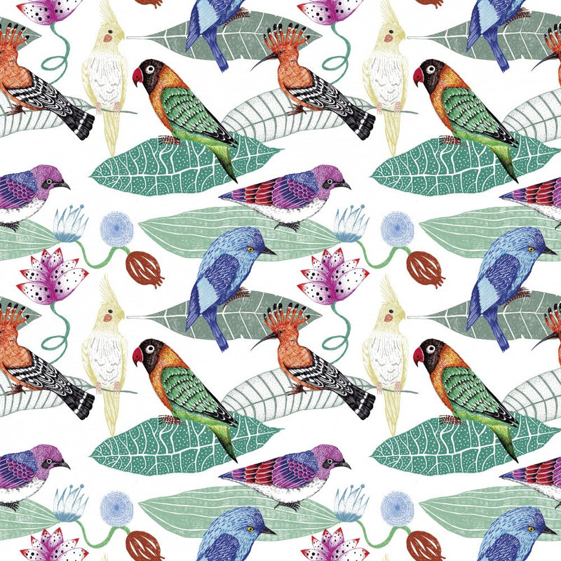 Birds