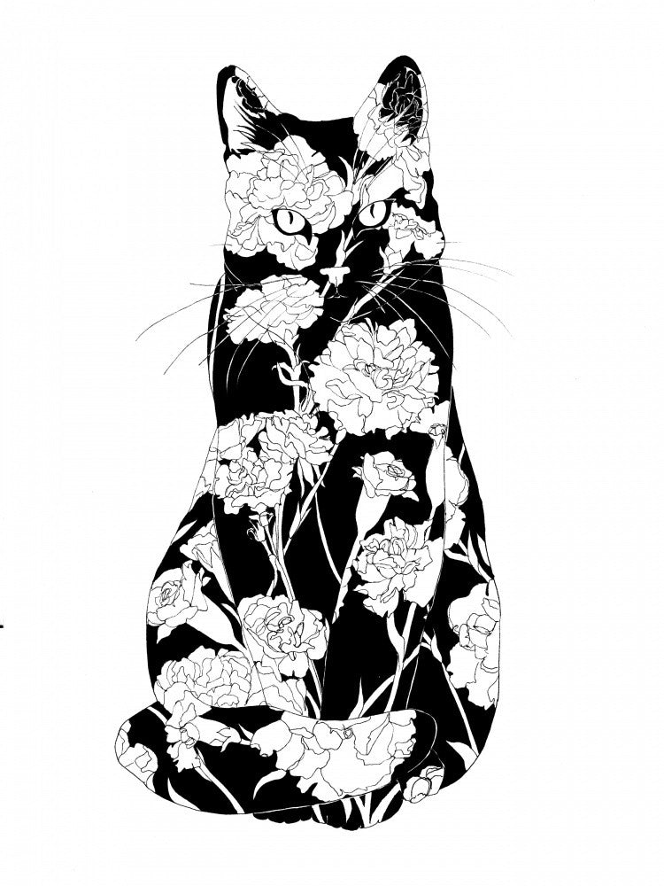 Carnation Cat Original