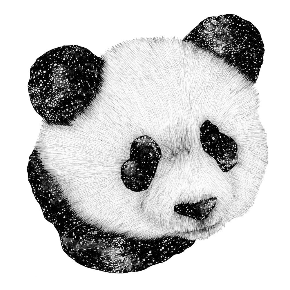 Cosmic Panda Square