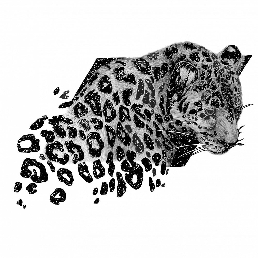 Cosmic Leopard Mural Copy