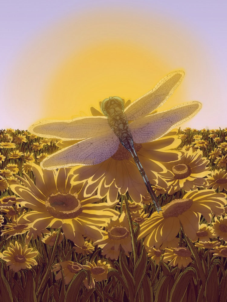 Dragonfly At Sunrise Large