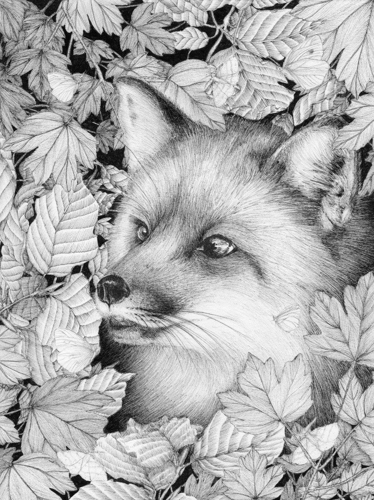 Fox and Forest