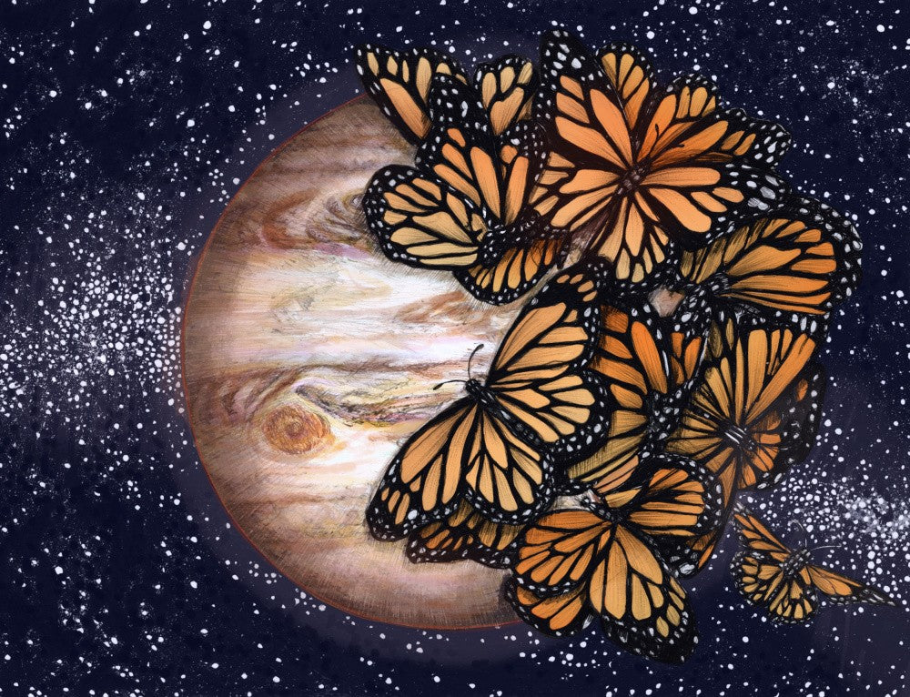 Jupiter's Butterflies Colour Version Original