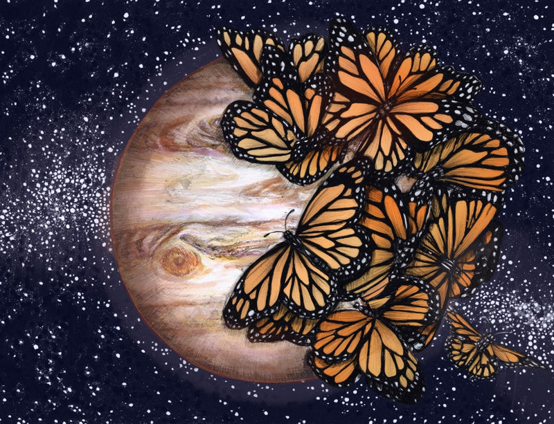 Jupiter's Butterflies Colour Version Original