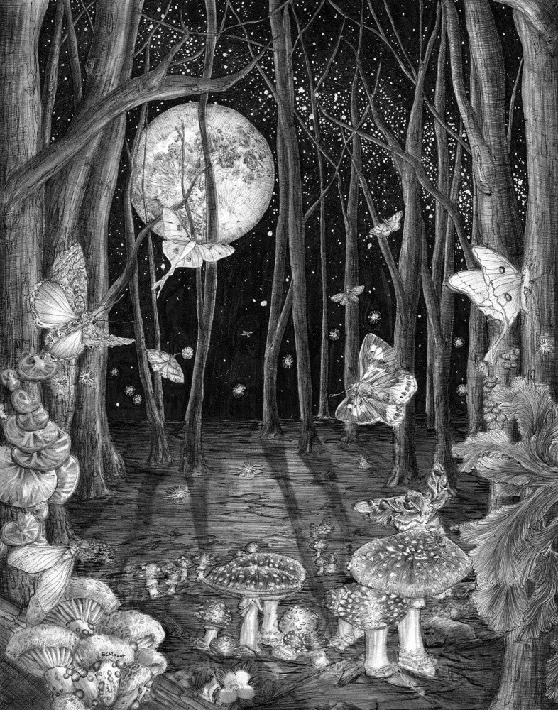 Midnight Magic Original