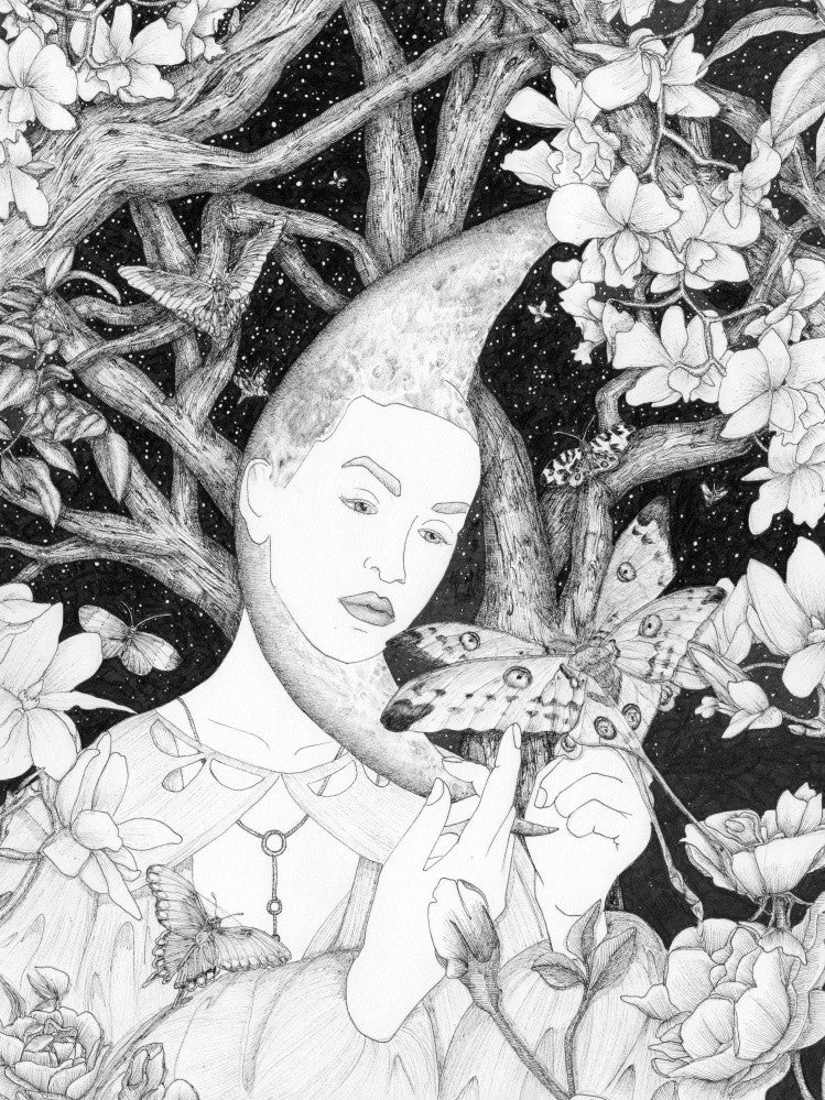 Moon and Her Moths Large