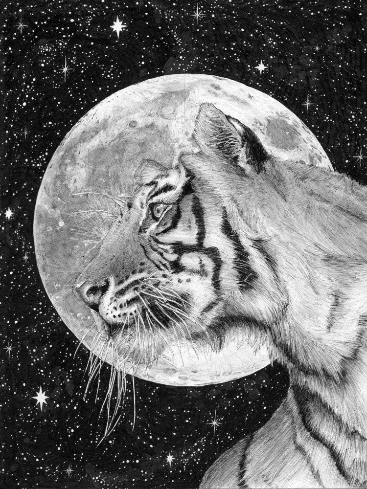 Moon and Tiger Original