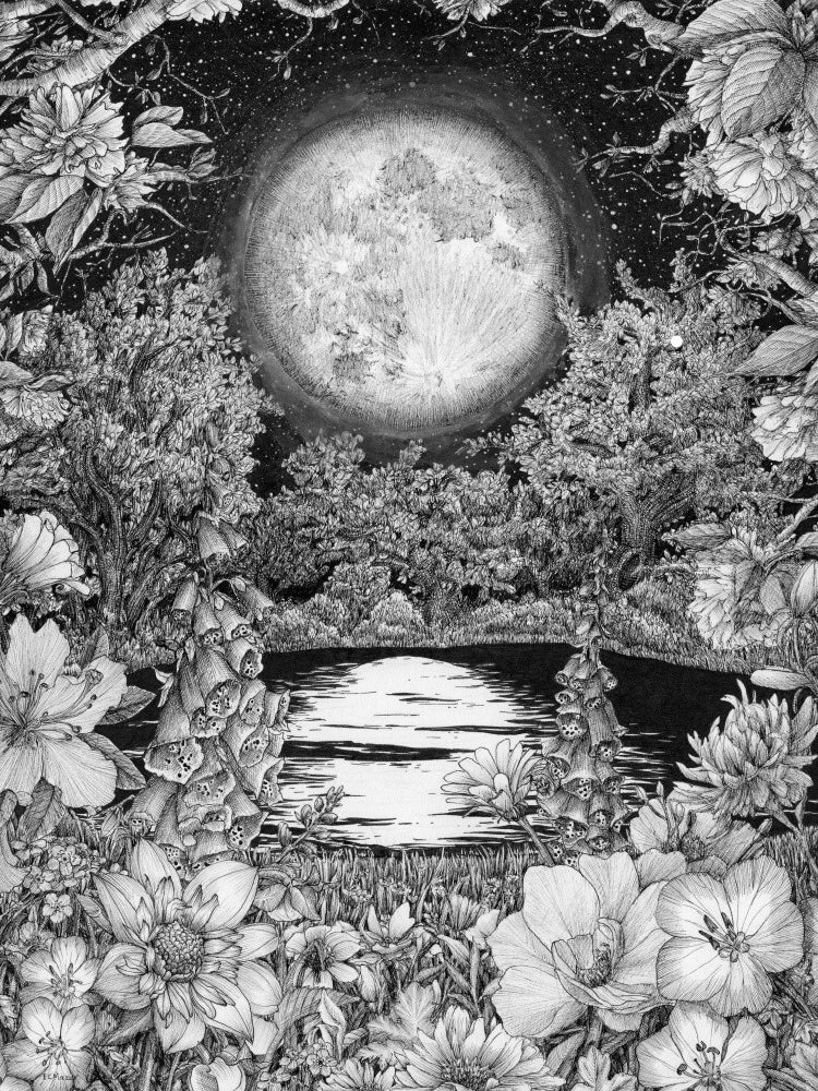 Moon Garden Reflections Large