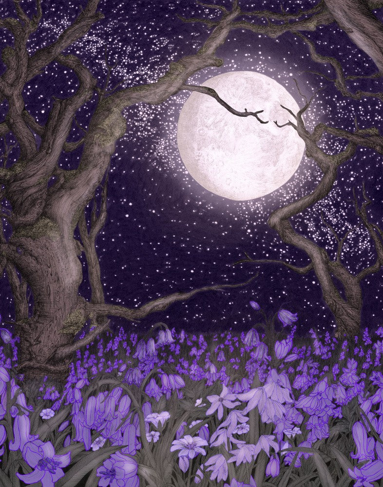 Moonlight and Purple Forest Gardens Large